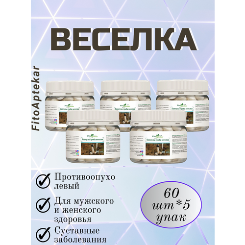 ������ ������ ���� ������� � �������� 60��*5 �������� ����