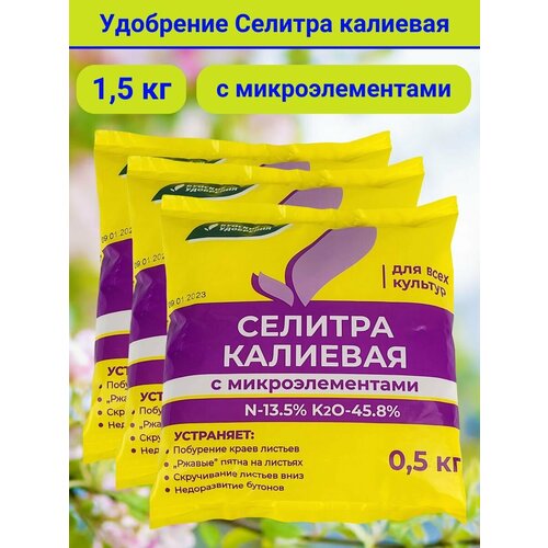 ������ ������ ��������� ������� �������� � ���������������, 1,5 ��. 3 ��������, 1 �������� - 0,5 ��. ����