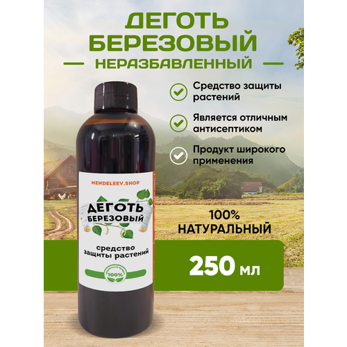 ������ ������ ������ ��������� 250 �� ����