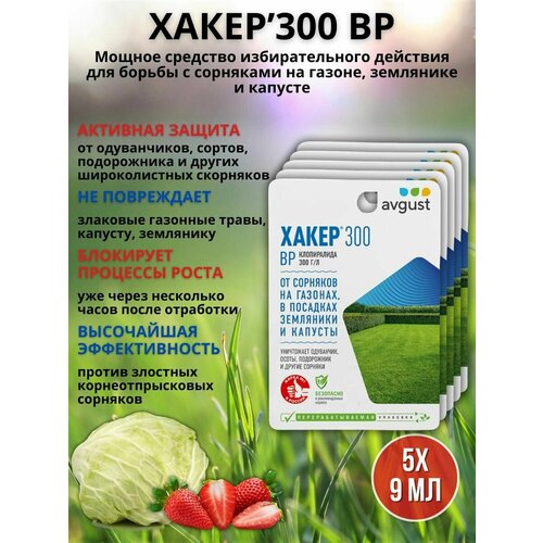 ������ ������ �������� �� �������� �� ������ �������� ����� 9 ��, 5 �� ����