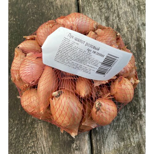 ������ ������ ���-����� ������� 14/35 (����� 0,5��) ������ ����