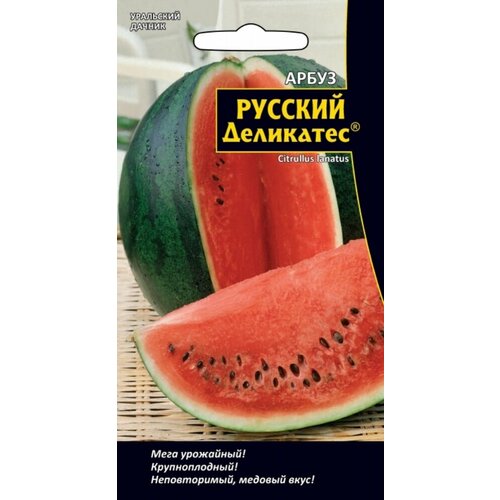 ������ ������ ������ ����� ������� ��������� 5�� ������ (��������� ������) ����