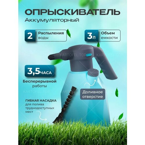 ������ ������ ������������� �������������� �������������� ����