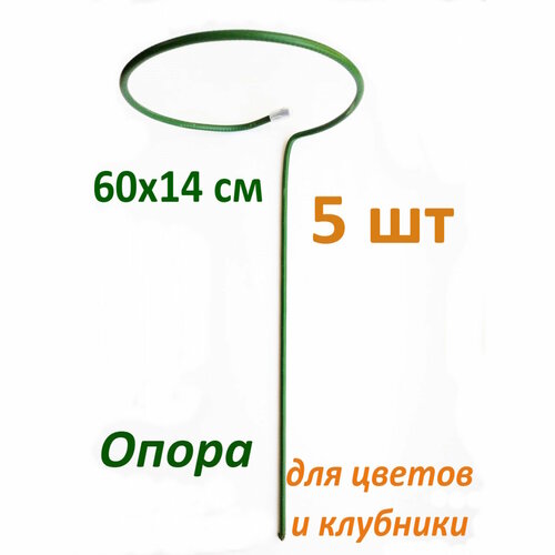 ������ ������ ����� ��� ������ 5 �� ����