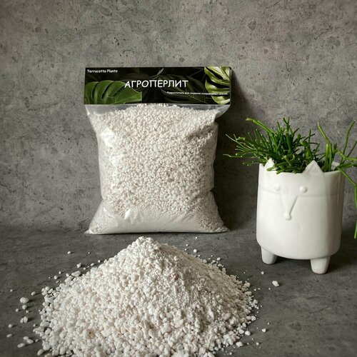 ������ ������ ������ ��� �������� Terracotta Plants 2 ����� ������������ ��� ������ ����