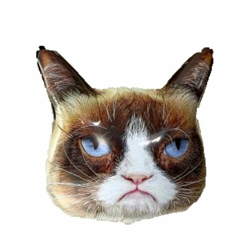 ������ ������ ��������� ��� �������������� ������� ���, 84 ��, ������ ����