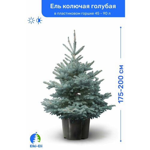 ������ ������ ��� ������� ������� 175-200 �� � ����������� ������ 45-90 �, �������, ������� ����� �������� ����