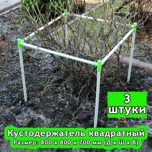 ������ ������ �������������� 