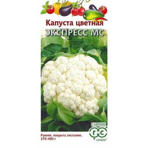 ������ ������ ������ ������� ������� �������� �� 0,2� ������ (������) ����