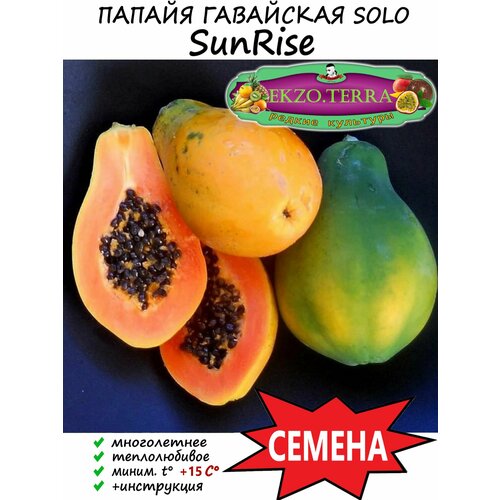 ������ ������ ������ ������ SunRise (Solo) 5 ��. ����