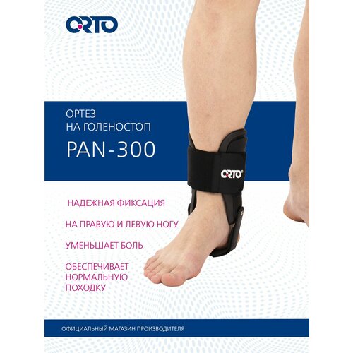 ������ ������ ORTO ����� �� ������������� ������ PAN 300 ����������� 26 �� ������ 1 ��. ������������� ����