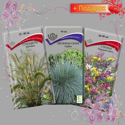 ������ ������ ����� ����� ������ ���������, �������� �����, ������� (������, ��������),3��. ����