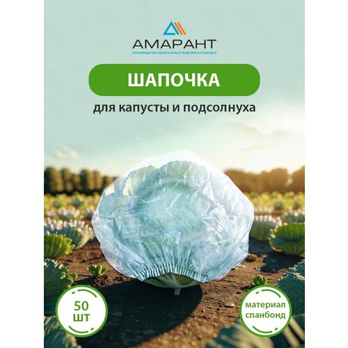 ������ ������ ������� ������� ��� ������� � ����������, ������� 50 �� ����