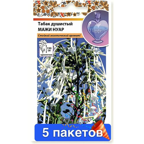 ������ ������ ����� ����� �������� ���� ���� 5 ������� ����