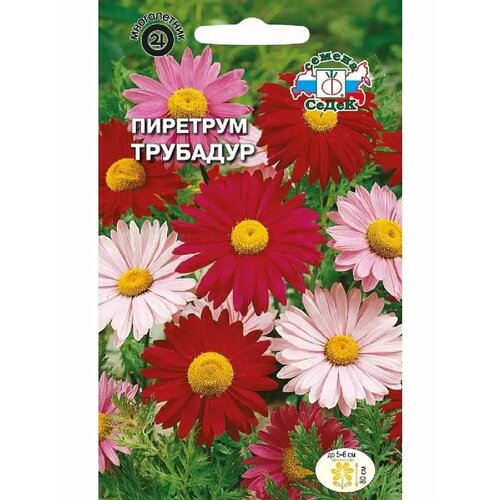 ������ ������ �������� 