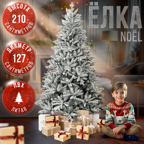 ������ ������ ������������� ���� BINOSHE No�l ����������� 210 �� ����