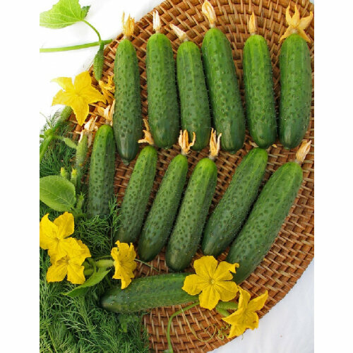 ������ ������ ������ ������ ������� ���� �������� 10�� ������������������ (����time) ����