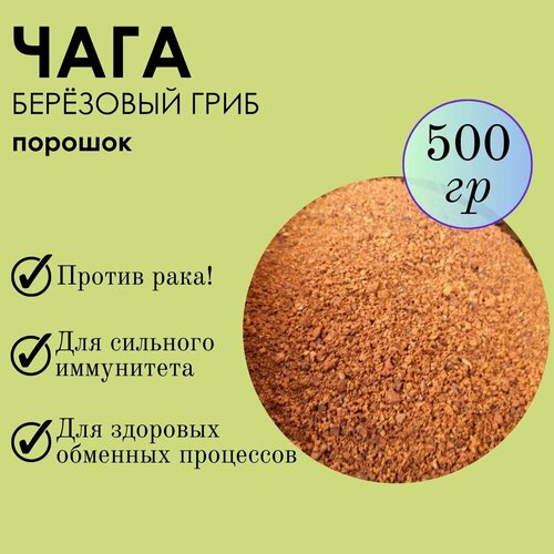 ������ ������ ���� ������� 