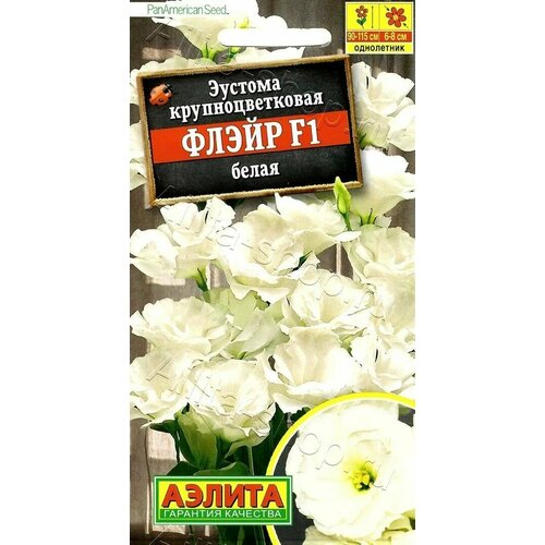 ������ ������ ������� ��������������� ����� ����� F1 ( 1 �������� ), ������ ����