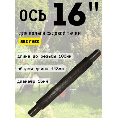 ������ ������ ��� ��� ����� ������� 16�� ����