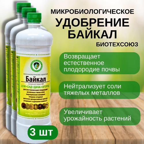 ������ ������ ������������������ ��������� ������ ���������� 1�, 3 �� ����