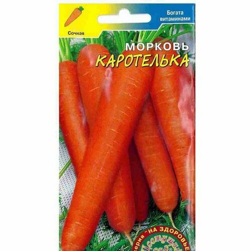 ������ ������ ������ ������� ���������� (�������� ���) 1� ����