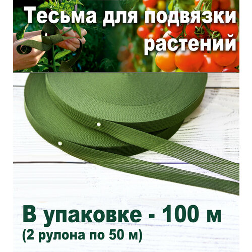 ������ ������ ����� ��� ������������ �������� 14 �� �100 � ����