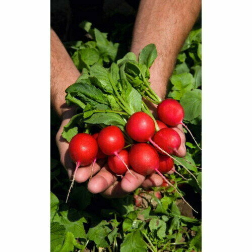 ������ ������ ������ ����� ��������� (��) �/� ����