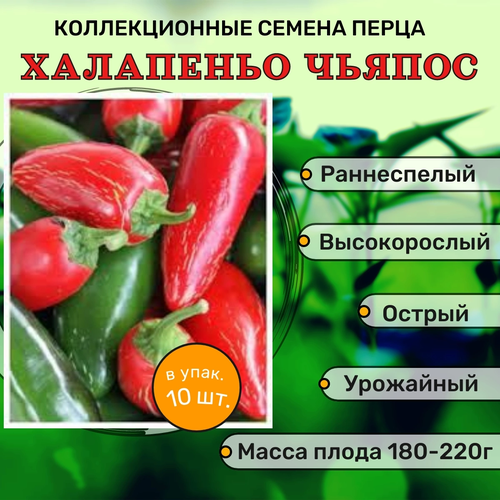 ������ ������ ������������� ������ ����� ������� ��������� ������ F1 ����