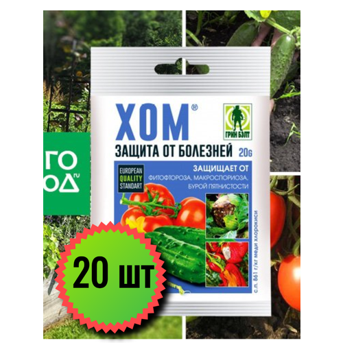 ������ ������ �������� ������ �� �������� ��� 20 � ��� ������, 20�� ����