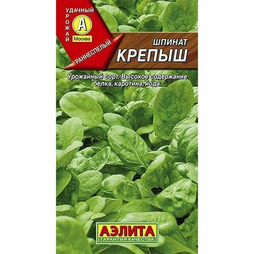 ������ ������ ������ ������ ������ (������) 2� ����