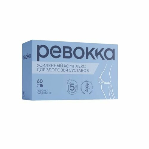 ������ ������ ������� ������� 500�� 60�� ����