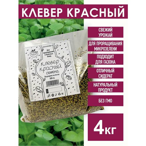 ������ ������ ������ ������� ������ ��� ������������, 4 ��. ����