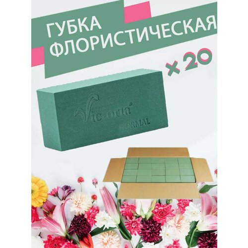 ������ ������ ����� �������������� (������, ����), 23 � 11 � 7,5 ��, 20 ���� ����