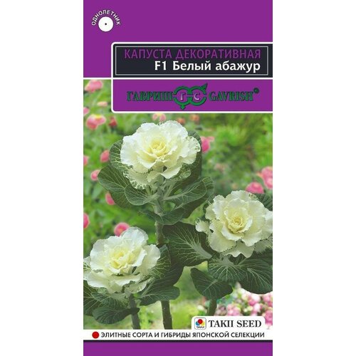 ������ ������ ������ ������� �����. ����� ������ F1 4�� 80�� (������) ����