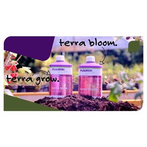 ������ ������ Plagron Terra Grow (5�). ��������� ��� ����� ����