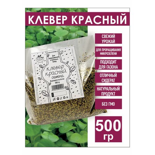 ������ ������ ������ ������� ������ ��� ������������, 500 ��. ����