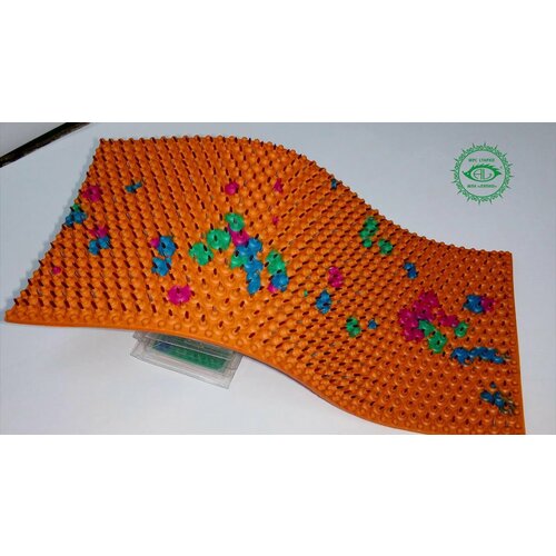 ������ ������ ���������� ����� 