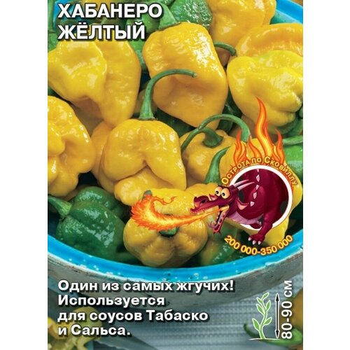 ������ ������ ������ �������� ����� ������ �������� ����� ����