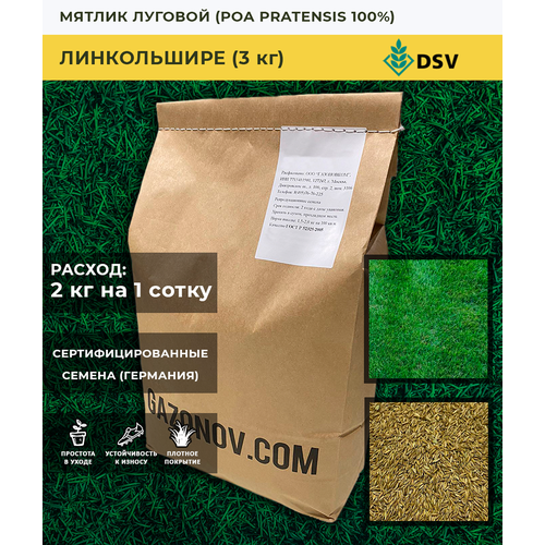 ������ ������ ������ ������� ����������� (3��) ����