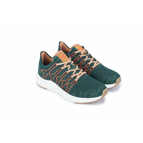 ������ ������ ������� �������������� ��������� ORTENBERG Honnef, ���. 13.24, ����-������, ������ 41 ����