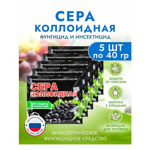 ������ ������ ���������� ���� ����