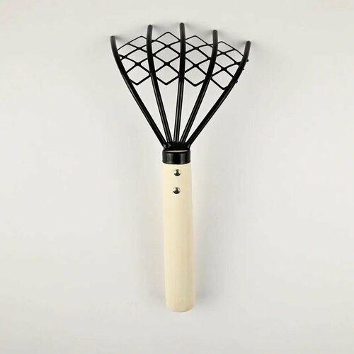 ������ ������ ��������� ������� / ���� ������ ��� ������� ����� � ������ 26�� ����