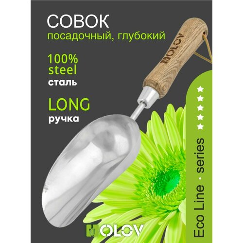 ������ ������ ����� ���������� �������� ����. ����� � �����. ������ `OLOV �������` ����