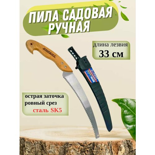 ������ ������ ���� ������ ������� ����