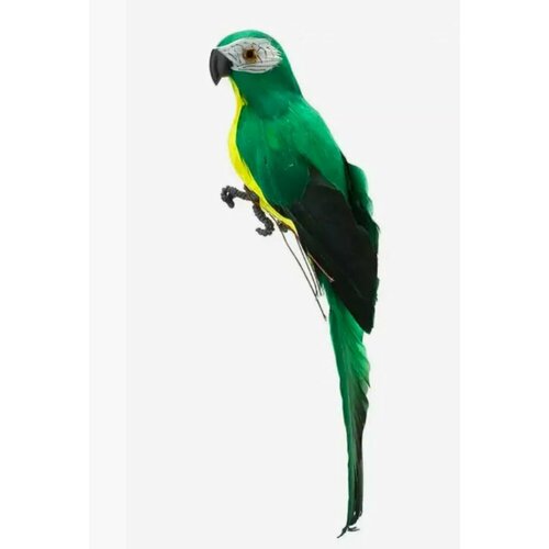 ������ ������ ������������ ������� ��� ���� � ���� 25 �� ����