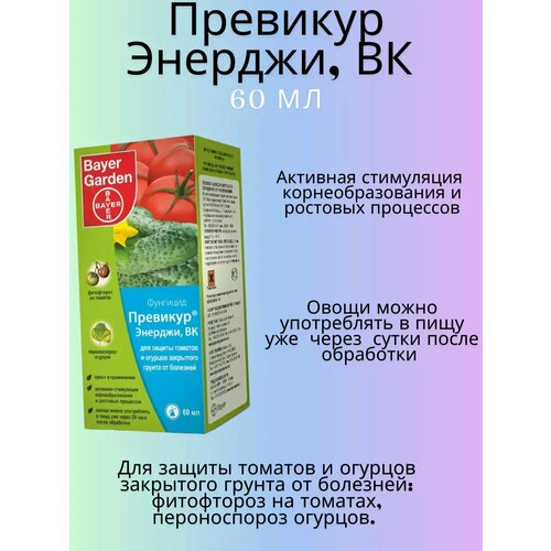 ������ ������ �������� �������, �� 60 �� ����