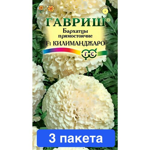 ������ ������ ����� �������� ������������ ������������ F1 3 ������ ����