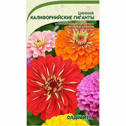 ������ ������ ������ ����� 