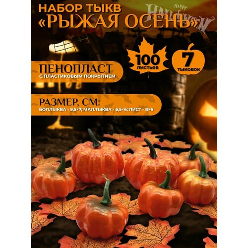 ������ ������ ����� ���� 